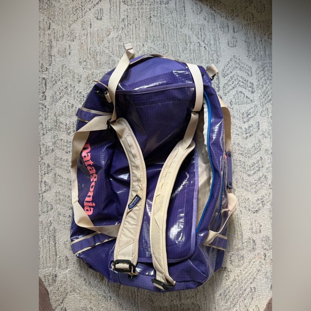 Patagonia Black Hole 55L Duffel Bag Purple